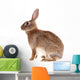 Brown Rabbit Wall Decal