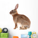 Brown Rabbit Wall Decal