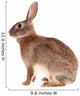 Brown Rabbit Wall Decal