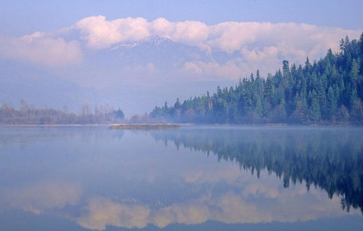 One Mile Lake, Near Pemberton, Bc In Early Morning Mist Wall Mural
