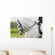 White Horse Dressage
