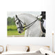 White Horse Dressage