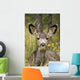 Mule Deer Near Maligne Lake, Jasper National Park, Alberta, Canada Wall Mural