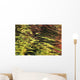 Oak And Maple Trees Reflections In Water Autumn Wall Mural