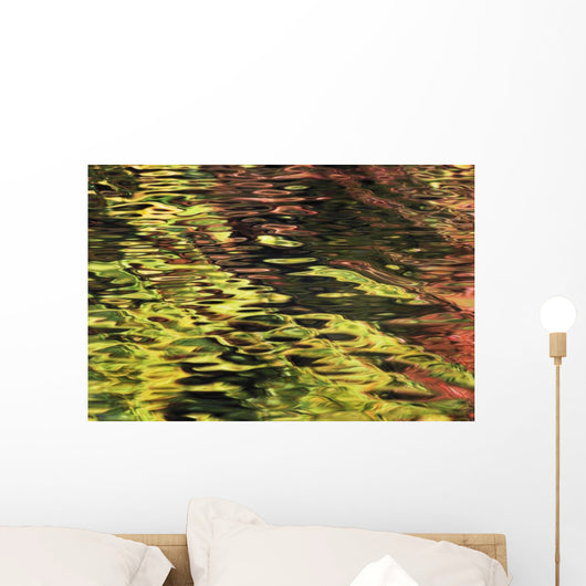 Oak And Maple Trees Reflections In Water Autumn Wall Mural