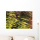 Oak And Maple Trees Reflections In Water Autumn Wall Mural