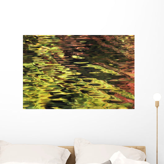 Oak And Maple Trees Reflections In Water Autumn Wall Mural