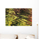 Oak And Maple Trees Reflections In Water Autumn Wall Mural