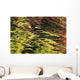 Oak And Maple Trees Reflections In Water Autumn Wall Mural