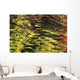 Oak And Maple Trees Reflections In Water Autumn Wall Mural