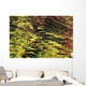 Oak And Maple Trees Reflections In Water Autumn Wall Mural