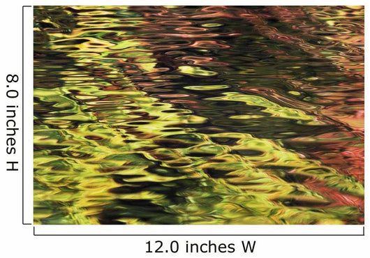 Oak And Maple Trees Reflections In Water Autumn Wall Mural