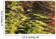 Oak And Maple Trees Reflections In Water Autumn Wall Mural
