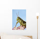 Grasshopper Close-Up Wall Mural