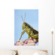 Grasshopper Close-Up Wall Mural