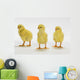 Yellow Chicks Baby Chickens Wall Mural