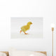 Yellow Chick Baby Chicken Wall Mural