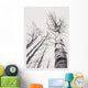 Stand Of Poplar Trees Next To The Highway 1 Wall Mural