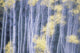 Poplar Trees In Autumn Wall Mural