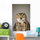 Immature Great Horned Owl Wall Mural