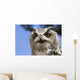 Owl Wall Mural