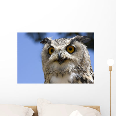 Owl Wall Mural shown on a wall