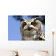 Owl Wall Mural