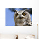 Owl Wall Mural