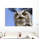 Owl Wall Mural
