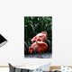 Flamingo Wall Mural