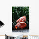 Flamingo Wall Mural