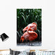 Flamingo Wall Mural