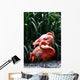 Flamingo Wall Mural