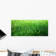 Grass Wall Decal Design 6