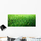 Grass Wall Decal Design 6