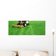 Lawnmowing Wall Decal