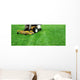 Lawnmowing Wall Decal