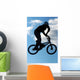 bmx extreme 01 Wall Mural