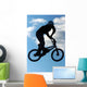 bmx extreme 01 Wall Mural