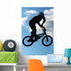 bmx extreme 01 Wall Mural