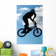 bmx extreme 01 Wall Mural