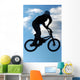 bmx extreme 01 Wall Mural