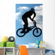 bmx extreme 01 Wall Mural