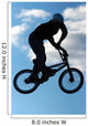 bmx extreme 01 Wall Mural