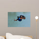 Wakeboard Extreme Wall Decal