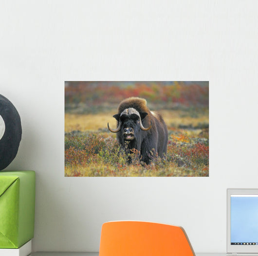 Tk0034, Thomas Kitchin Wall Mural