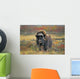 Tk0034, Thomas Kitchin Wall Mural