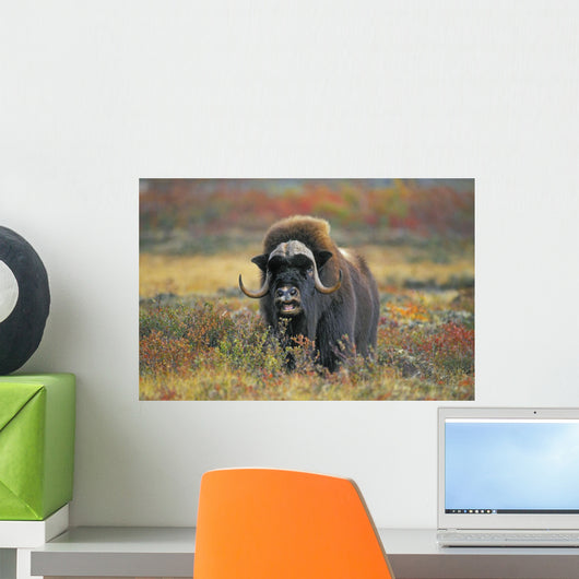 Tk0034, Thomas Kitchin Wall Mural