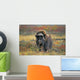 Tk0034, Thomas Kitchin Wall Mural