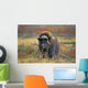 Tk0034, Thomas Kitchin Wall Mural